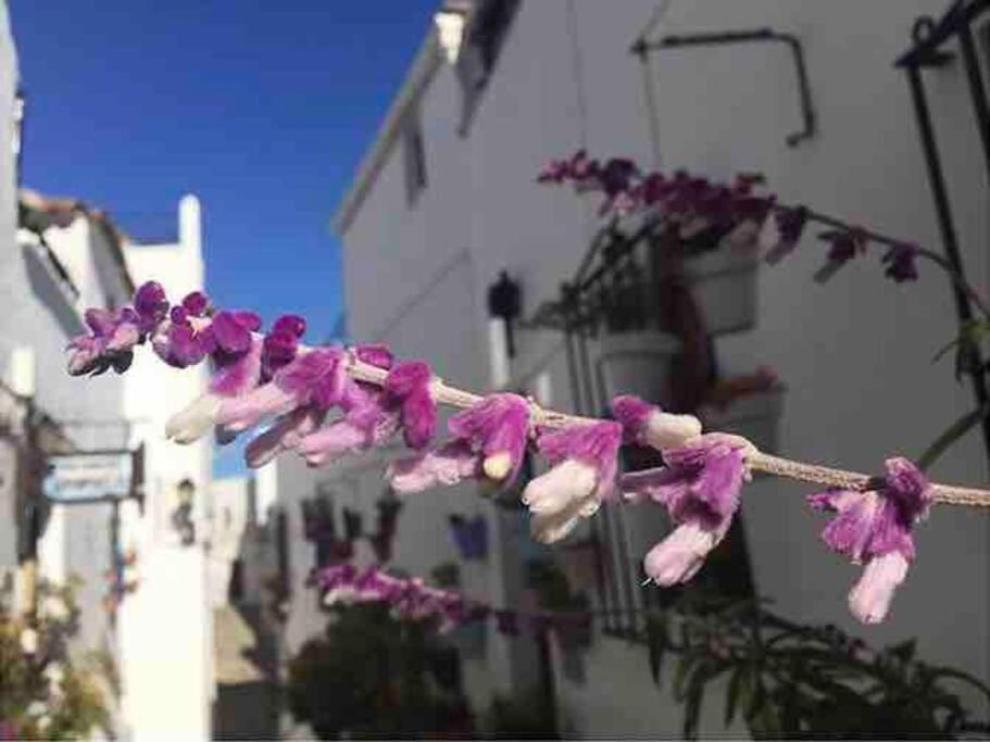 Casa Arena Y Sal En Pleno Casco Antiguo De Vejer Villa Vejer de la Frontera Exterior photo
